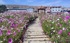 小SAO货边洗澡边CAO你动漫